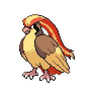 PIDGEOT.png