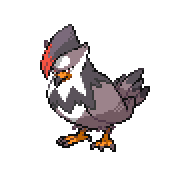 File:STARAPTOR.png