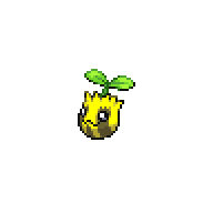 SUNKERN.png