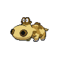 HIPPOPOTAS.png
