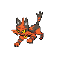 TORRACAT.png