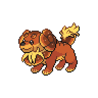 DACHSBUN.png