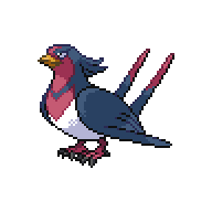 File:SWELLOW.png