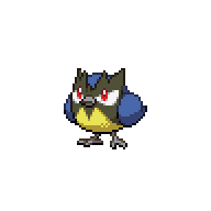 ROOKIDEE.png