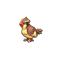 PIDGEY.png