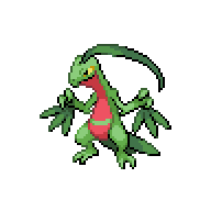 GROVYLE.png