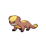 YUNGOOS.png