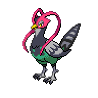 UNFEZANT.png