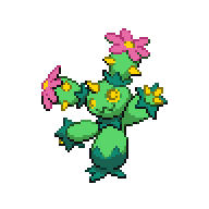 MARACTUS.png
