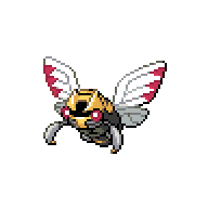 NINJASK.png