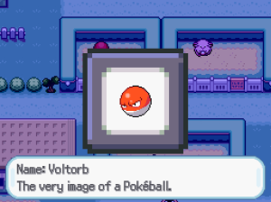 Voltorb Exhibit.png