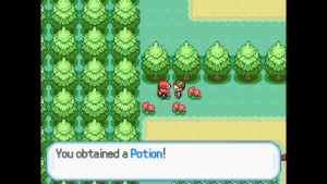 Route1Potion.png