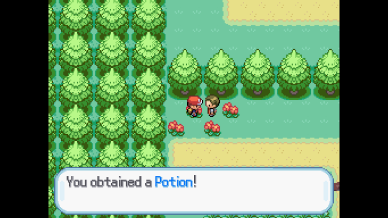 File:Route1Potion.png