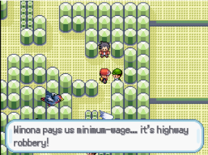 Bird Trainer Eduardo and Camper Flint Double Battle.png