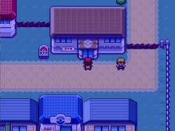 Cerulean City Gym