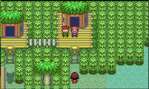 Mental Herb from the NPC with Wingull.png