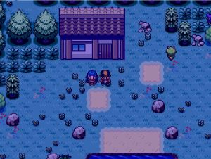 Hidden Village Main Area.jpg