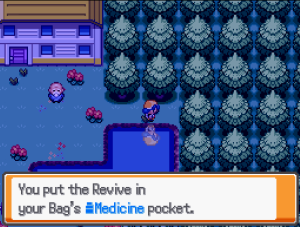 Hidden Revive North of the Daycare lake