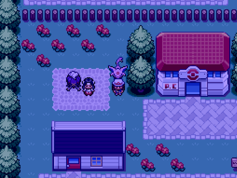 File:Pewter City Channeler.png